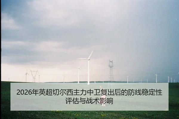 nian-ying-chao-qie-er-xi-zhu-li-zhong-wei-fu-chu-hou-de-fang-xian-wen-ding-xing-ping-gu-yu-zhan-shu-ying-xiang-2-745.jpg